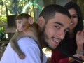 Monkey Encounter
