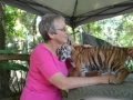 Tiger Cub with grandma