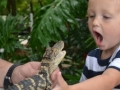Gator Encounter