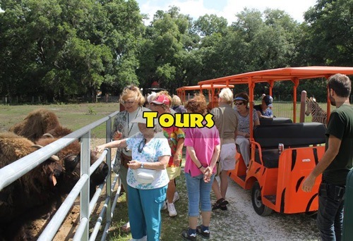 Zoo Tour