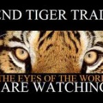 End Tiger Trade Conservation