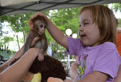 Animal Encounters