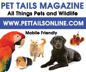 Pet Tails Online