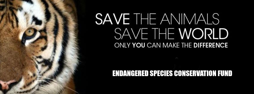 Endangered Species Conservation Fund
