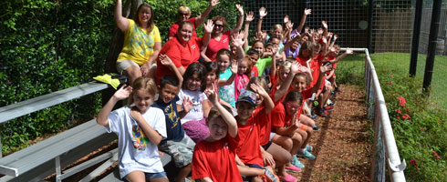 Zoo Tours